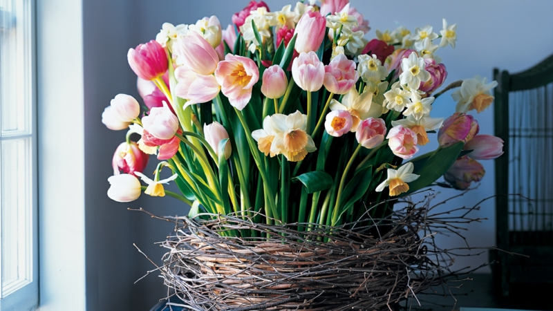 nest-zweige-blumen-arrangements-im-fruehling-tulpen-rosa